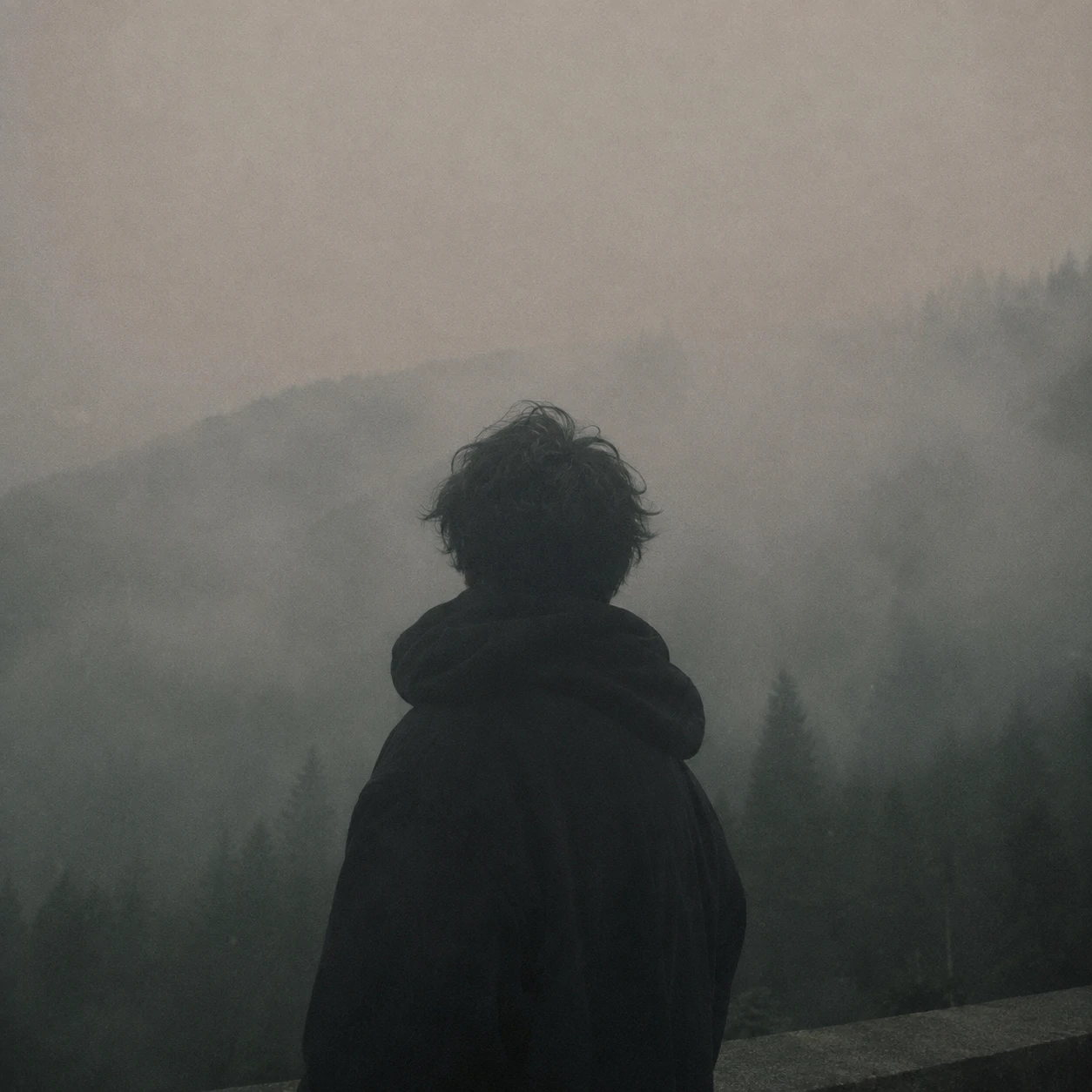Misty aesthetic unknown profile picture with muted tones and hidden identity