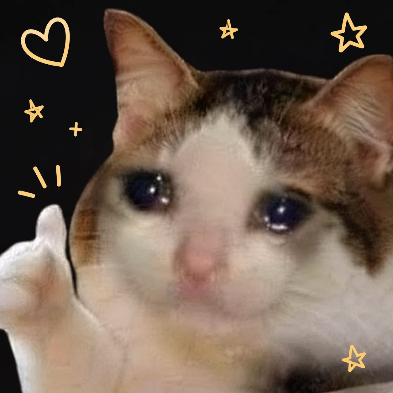 Crying cat giving a thumbs up, meme profile picture with glossy teary eyes