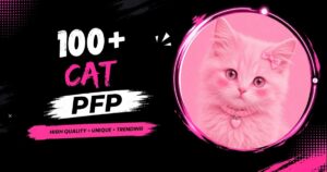 Cat PFP: Cute, Funny, Aesthetic, Anime, Meme & Matching