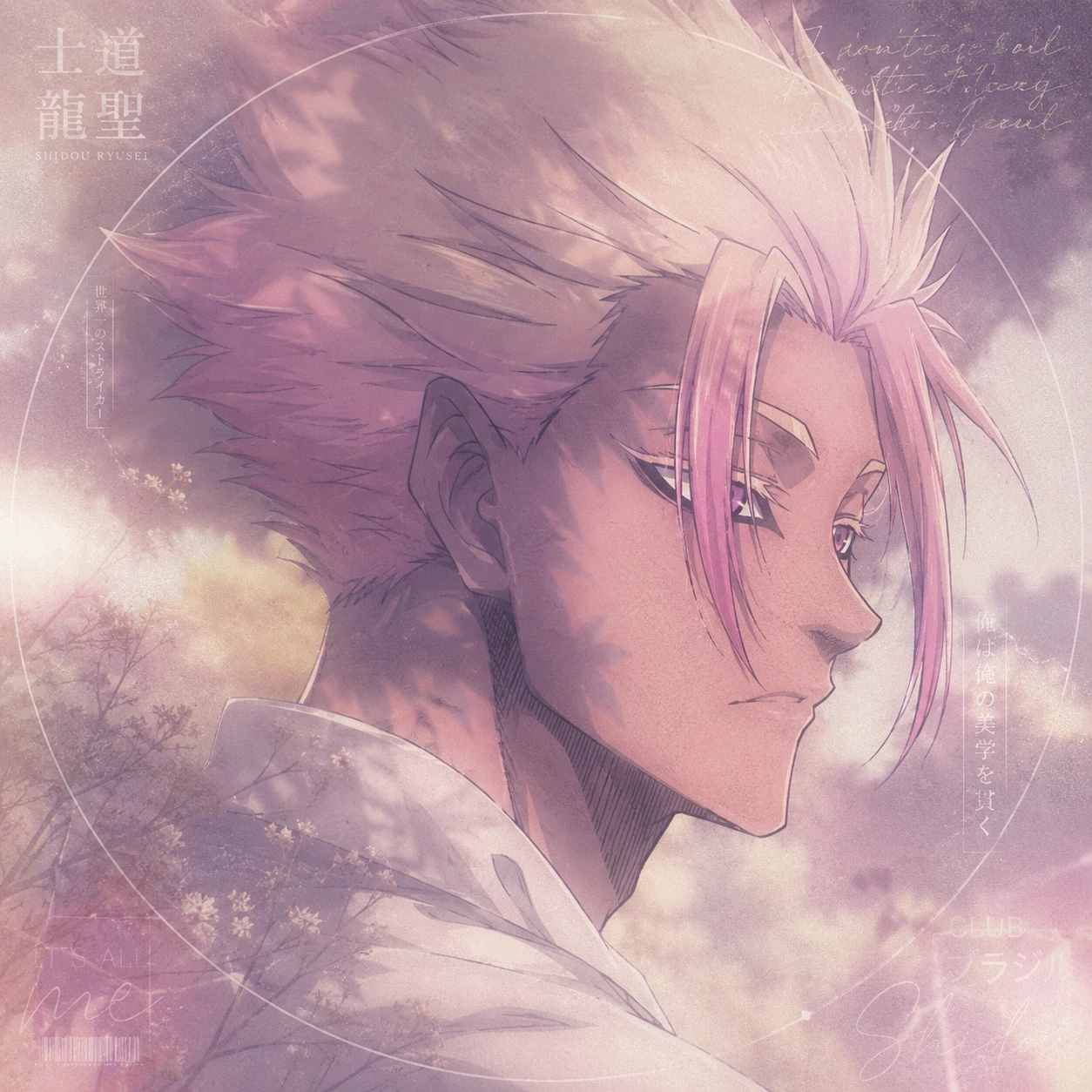 Faded pastel Shidou PFP aesthetic edit of Shidou looking to the side